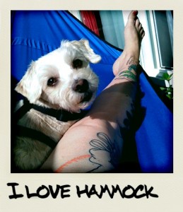 Hammock