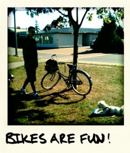 bikes are fun