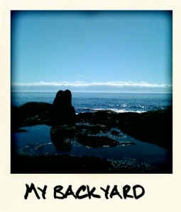 what a day!