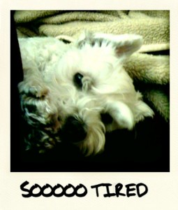soooo tired