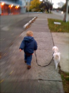 Henry & Fergus